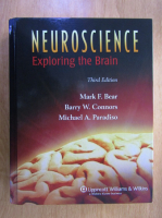 Mark F. Bear - Neuroscience. Exploring the brain
