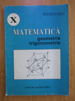 Matematica pentru clasa a X-a. Geometrie, trigonometrie