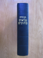 Torah (in ebraica)