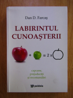 Dan D. Farcas - Labirintul cunoasterii