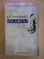 Mustafa Islamoglu - Ce inseamna islamul?