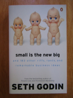 Seth Godin - Small is the new big
