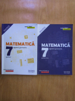 Anton Negrila, Maria Negrila - Matematica clasa a VII-a (2 volume)