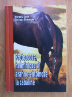Morariu Sorin - Protozooze, helmintoze si arahno-entomoze la cabaline