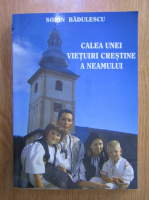 Sorin Badulescu - Calea unei vietuiri crestine a neamului