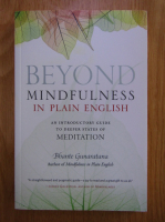 Bhante Gunaratana - Beyond mindfulness in plain english