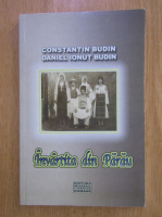 Anticariat: Constantin Budin - Invartita din Parau