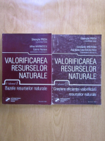 Gheorghe Preda - Valorificarea resurselor naturale (2 volume)