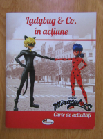 Anticariat: Ladybug & Co. in actiune. Carte de activitati