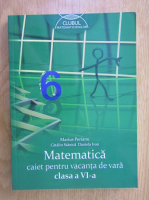 Marius Perianu - Matematica, clasa a VI-a. Caiet pentru vacanta de vara