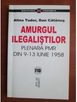 Alina Tudor - Amurgul ilegalistilor. Plenara PMR din 9-13 Iunie 1958