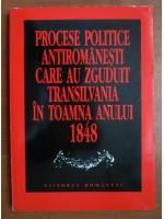 Procese politice antiromanesti care au zguduit Transilvania in toamna anului 1848