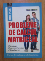 Florin Stanescu - Probleme de calcul matriceal. Olimpiade, concursuri scolare si Bacalaureat