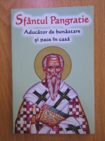 Sfantul Pangratie. Aducator de bunastare si pace in casa