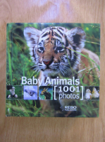 Baby animals. 1001 photos