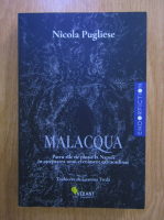 Nicola Pugliese - Malacqua. Patru zile de ploaie la Napoli in asteptarea unui eveniment extraordinar