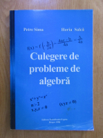 Petre Sima, Horia Salca - Culegere de probleme de algebra