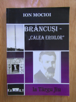 Ion Mocioi - Brancusi: 