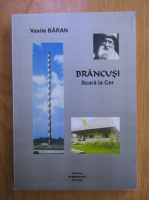Vasile Baran - Brancusi. Scara la cer