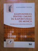 Anticariat: Alexandru Ticlea - Raspunderea pentru daune in raporturile de munca. Teorie si jurisprudenta