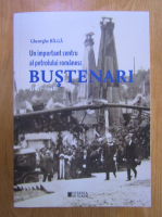 Gheorghe Bilga - Un important centru al petrolului romanesc: Bustenari (1857-1948)