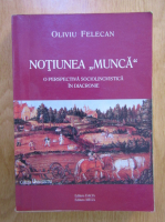 Oliviu Felecan - Notiunea Munca. O perspectiva sociolingvistica in diacronie