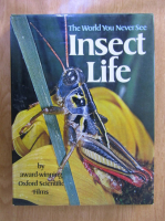 The world you never see. Insect life