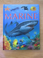Enciclopedia animalelor in imagini. Animale marine pe intelesul copiilor