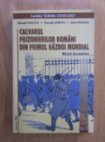 Gheorghe Nicolescu - Calvarul prizonierilor romani din Primul Razboi Mondial (volumul 1)