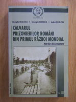 Gheorghe Nicolescu - Calvarul prizonierilor romani din Primul Razboi Mondial (volumul 3)