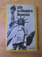 Peter Bromhead - Life in modern America