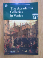Anticariat: The Accademia Galleries in Venice