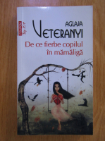 Aglaja Veteranyi - De ce fierbe copilul in mamaliga (Top 10+)