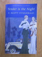 F. Scott Fitzgerald - Tender is the night