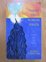 Anticariat: Gloria Karpinski - Where two worlds touch