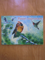 Pasari migratoare