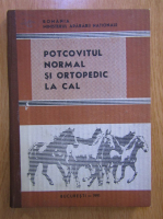 Vladimir Capatina - Potcovitul normal si ortopedic la cal