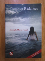 Domnica Radulescu - Amurg la Marea Neagra