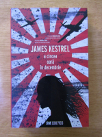 James Kestrel - A cincea oara in decembrie