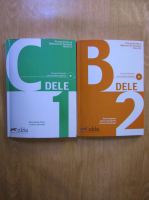 Preparacion al diploma de espanol, nivel B2-C1 (2 volume)