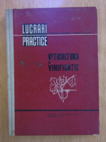 Magdalena Georgescu, Pomohaci Nicolae - Viticultura si vinificatie