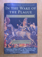 Norman F. Cantor - In the wake of the plague