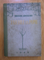 Taierile la pomi. Editata de Ministerul Agriculturii