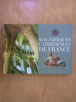 Anticariat: Elsa Nadal, Sylvain Sonnet - Magnifiques cathedrales de France