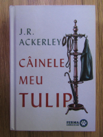 Anticariat: J. R. Ackerley - Cainele meu Tulip