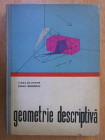 Virgil Dragomir, Stefan Teodorescu - Geometrie descriptiva