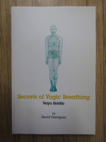 David Garrigues - Secrets of yogic breathing. Vayu Siddhi