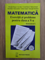 Gheorghe Drugan - Matematica. Exercitii si probleme pentru clasa a V-a, semestrul 1