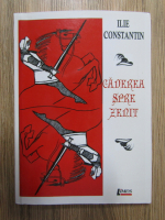 Anticariat: Ilie Constantin - Caderea spre zenit
