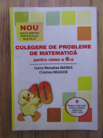 Ioana Monalisa Manea, Cristina Neagoe - Culegere de probleme de matematica pentru clasa a VI-a